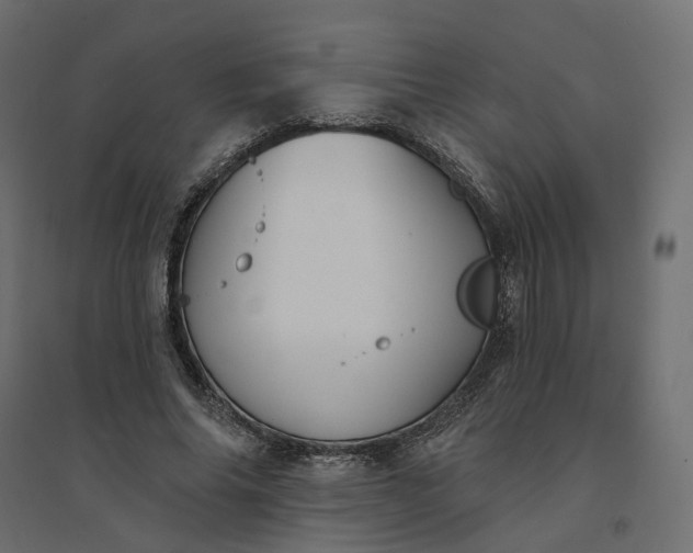 X0000094420686200711211411