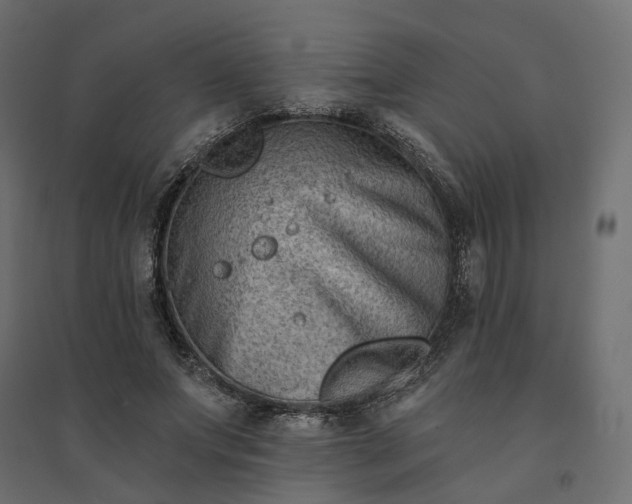 X0000094420687200711211411