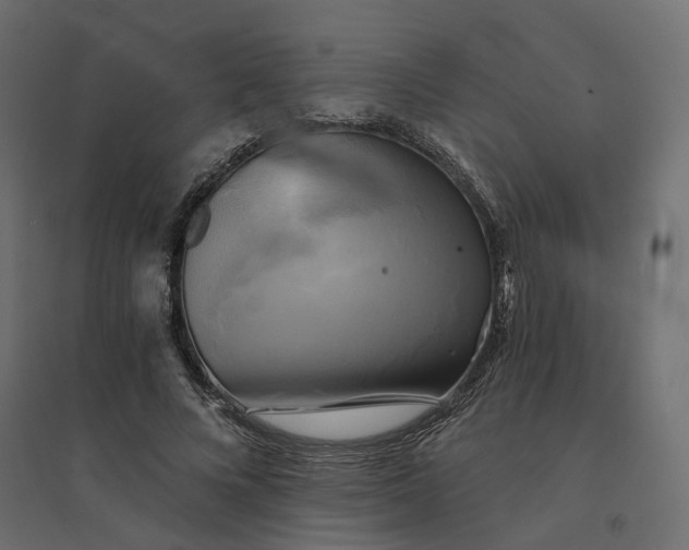 X0000094420688200711211411