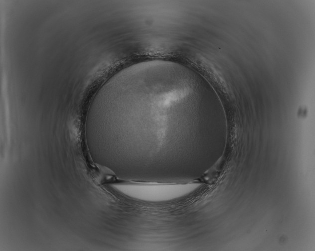 X0000094420689200711211411