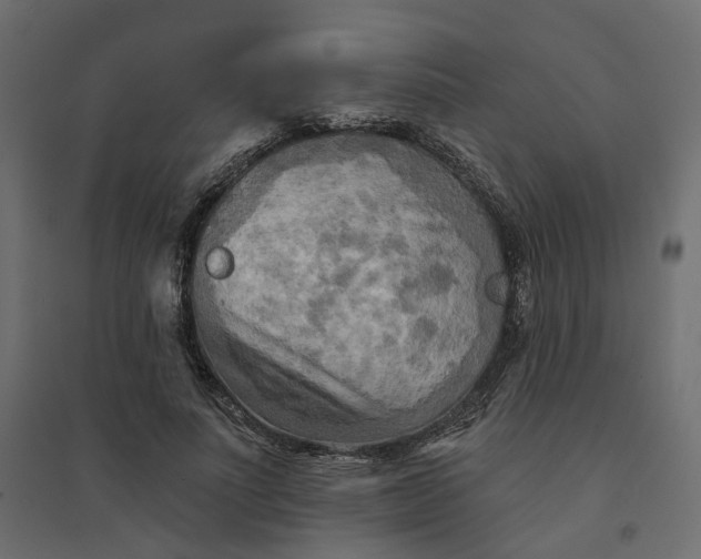 X0000094420691200711211411