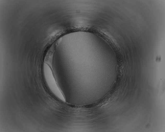 X0000094420693200711211411