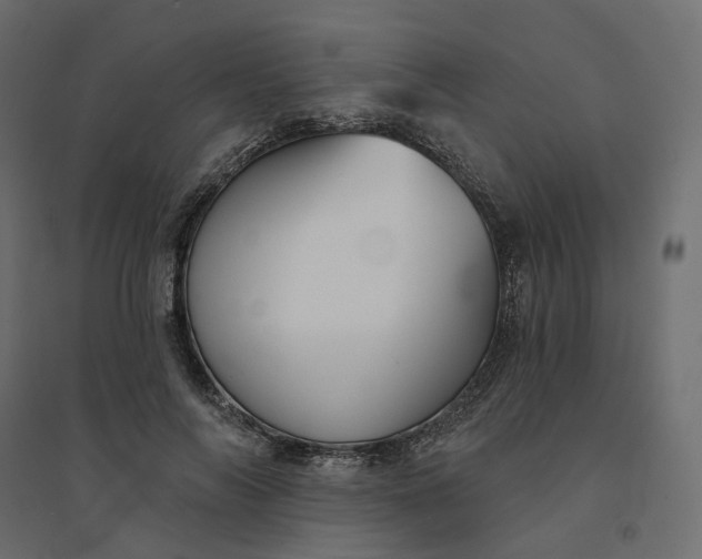 X0000094420694200711211411