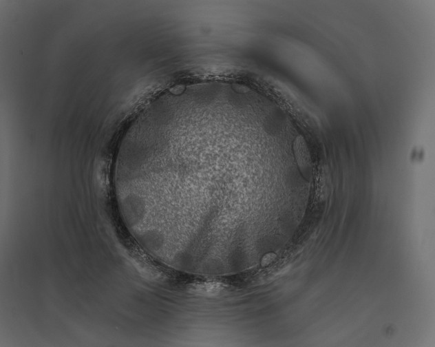 X0000094420695200711211411