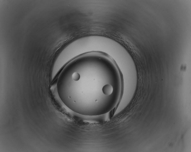 X0000094420696200711211411