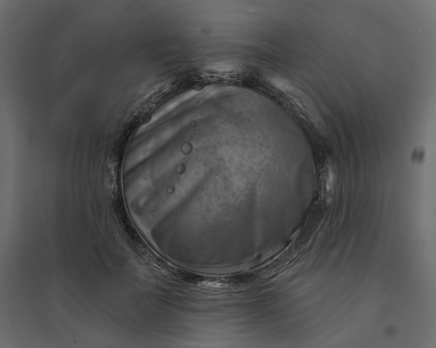 X0000094420699200711211411