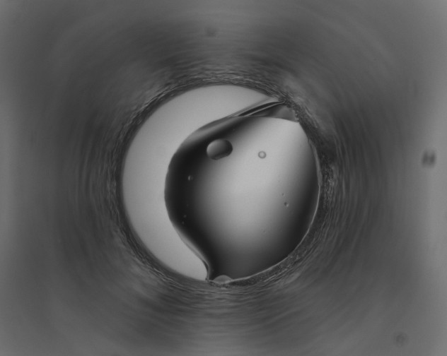 X0000094420700200711211411