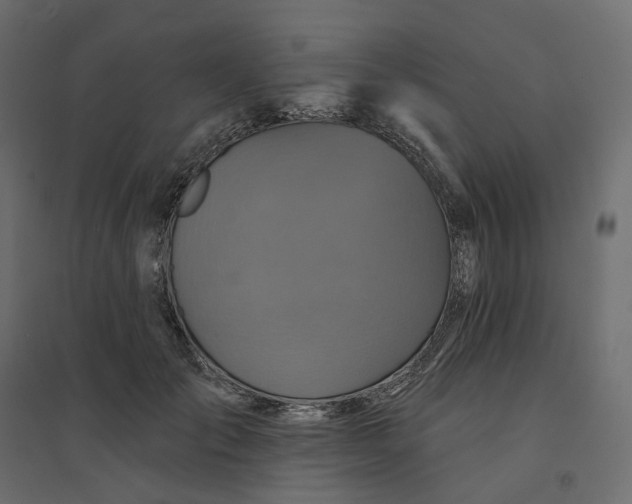 X0000094420701200711211411