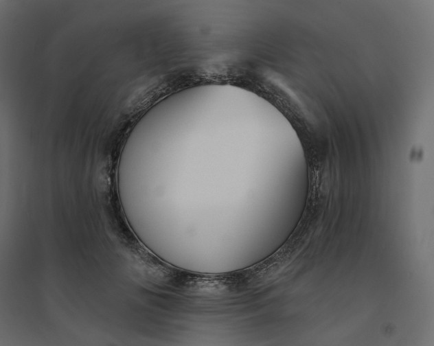 X0000094420702200711211410