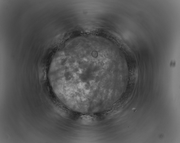 X0000094420703200711211410