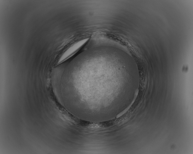 X0000094420704200711211410