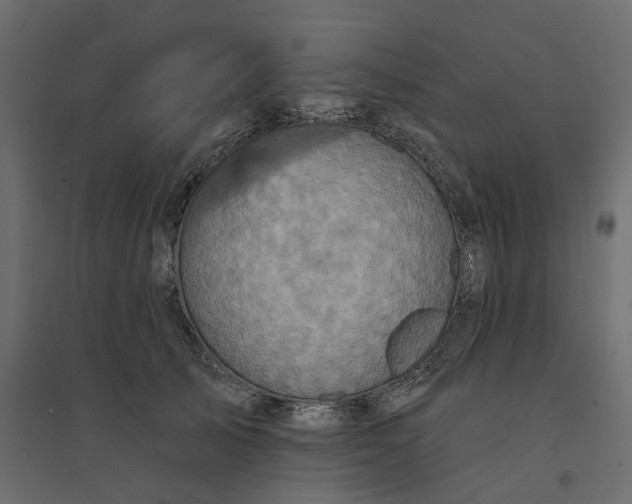 X0000094420705200711211410