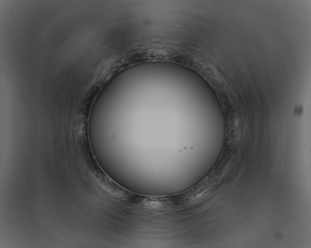 X0000094420706200711211410