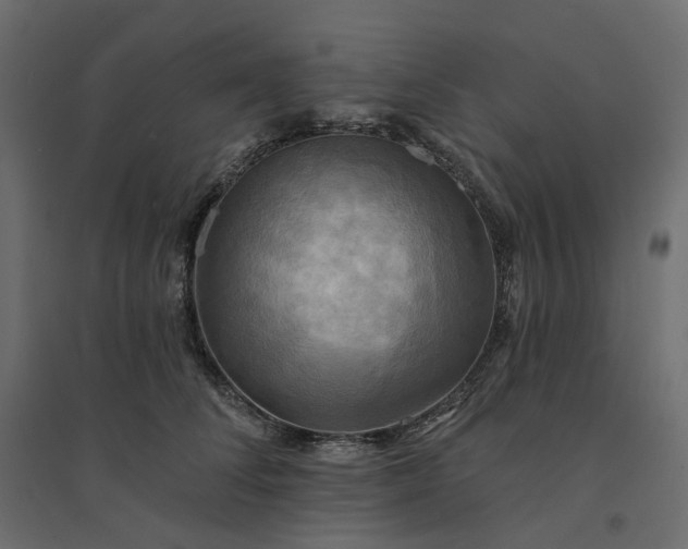 X0000094420708200711211410