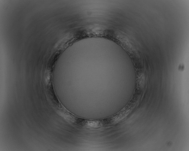 X0000094420709200711211410