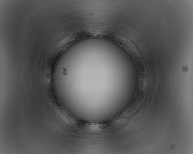 X0000094420710200711211410