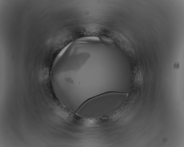 X0000094420711200711211410