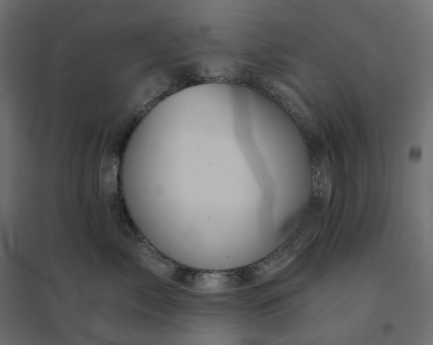 X0000094420717200711211410