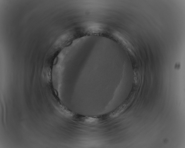 X0000094420718200711211410
