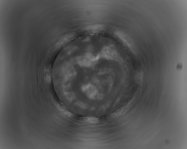 X0000094420719200711211410
