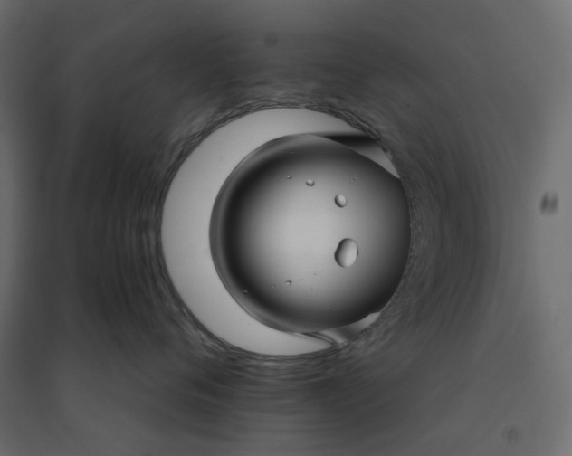 X0000094420720200711211410