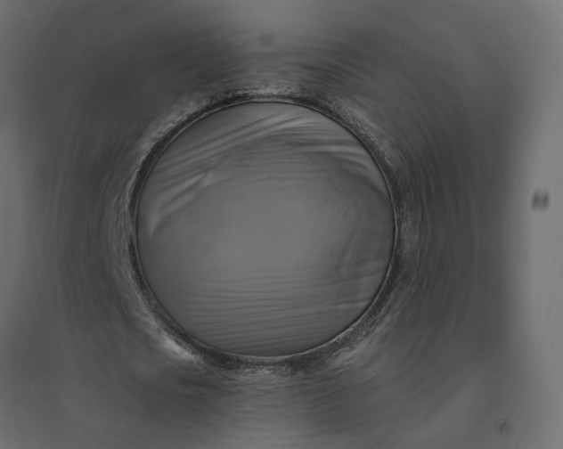X0000094420721200711211409