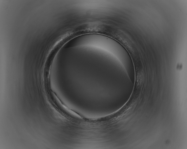 X0000094420722200711211409