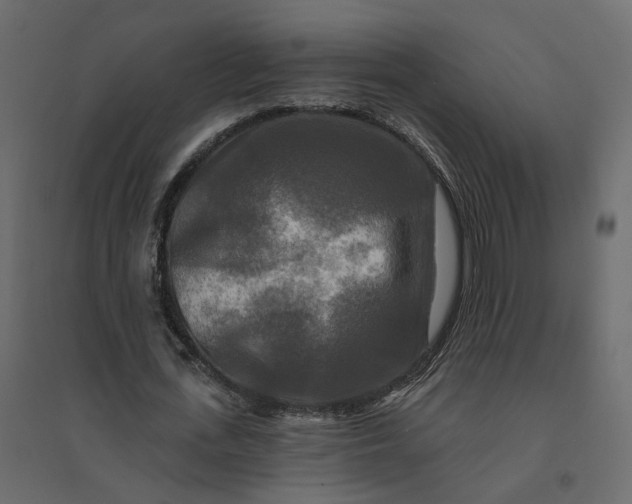 X0000094420723200711211409