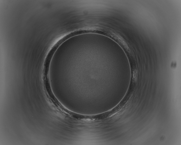 X0000094420724200711211409