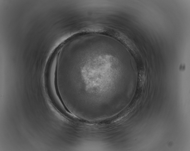 X0000094420726200711211409