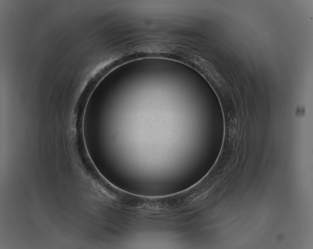 X0000094420727200711211409