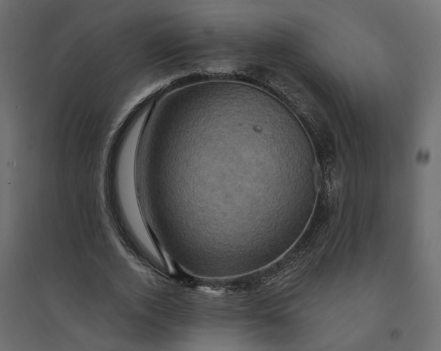 X0000094420728200711211410