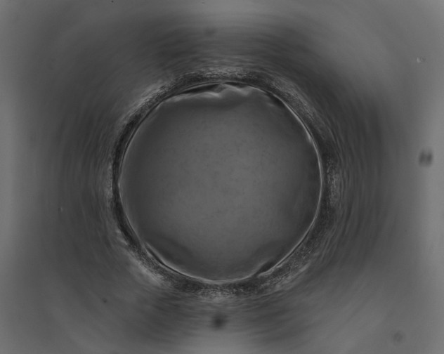 X0000094420729200711211410