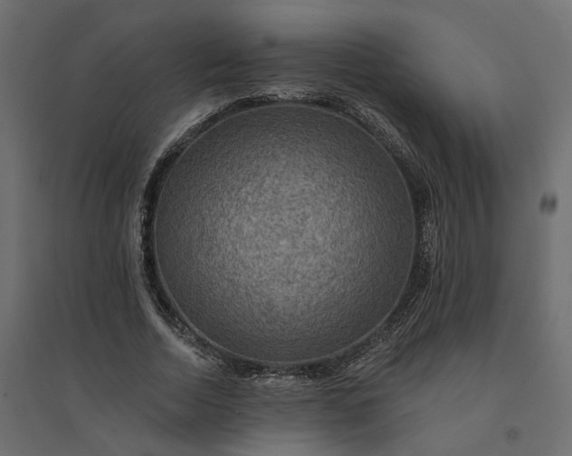 X0000094420730200711211410