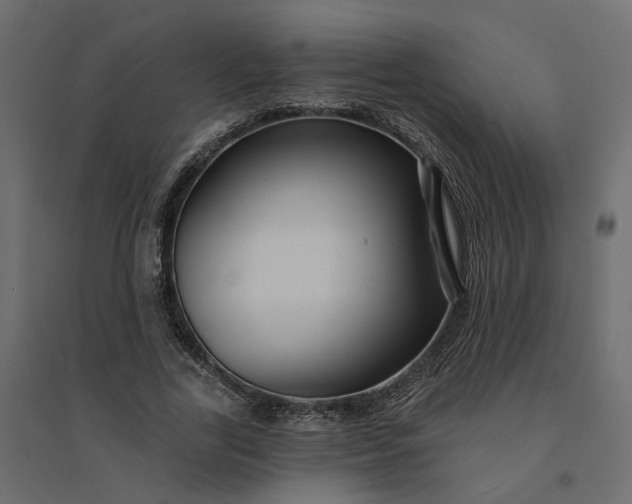 X0000094420731200711211410