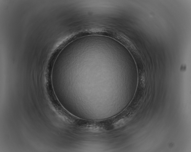 X0000094420732200711211410