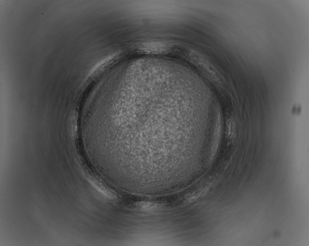 X0000094420733200711211410