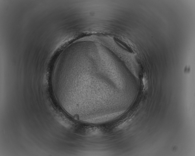 X0000094420735200711211410