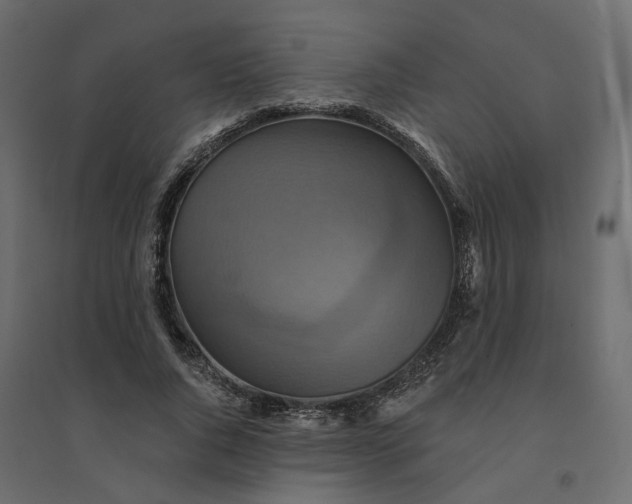 X0000094420736200711211410