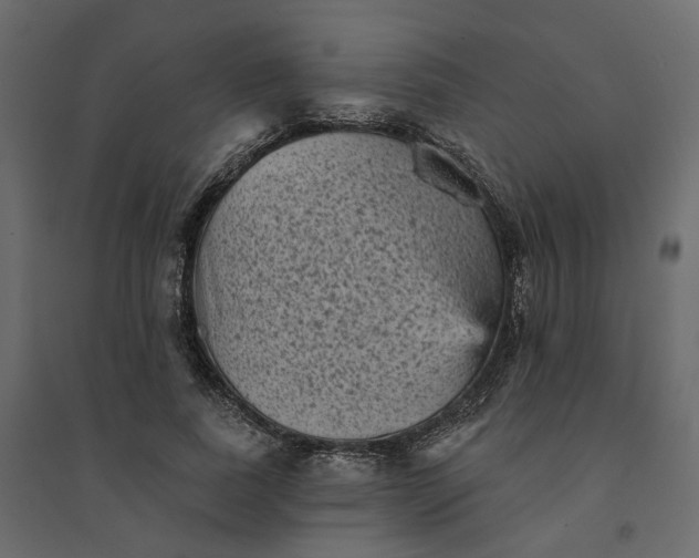 X0000094420739200711211410