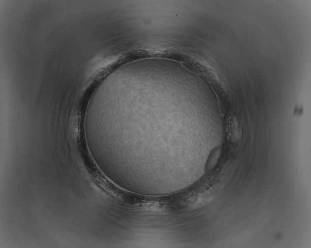 X0000094420740200711211410