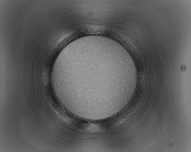 X0000094420741200711211410