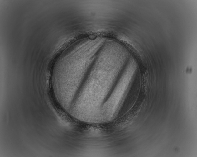 X0000094420742200711211410