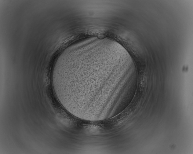 X0000094420743200711211410