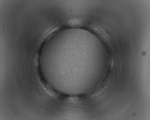 X0000094420744200711211410
