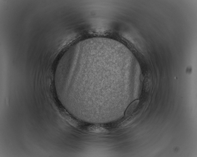 X0000094420747200711211410