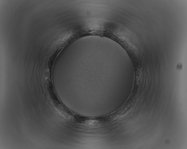 X0000094420748200711211410