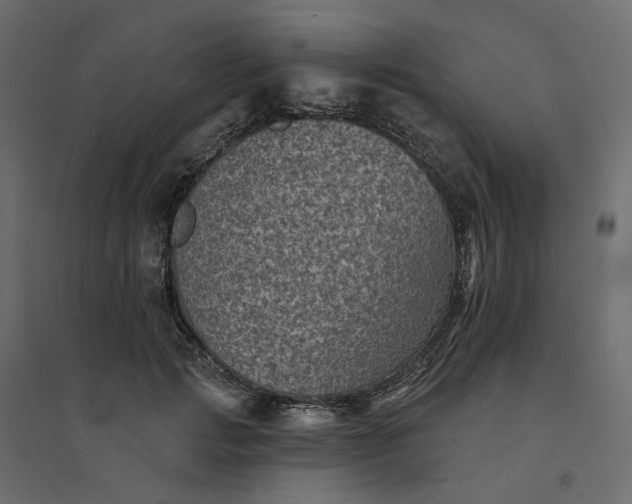 X0000094420749200711211410