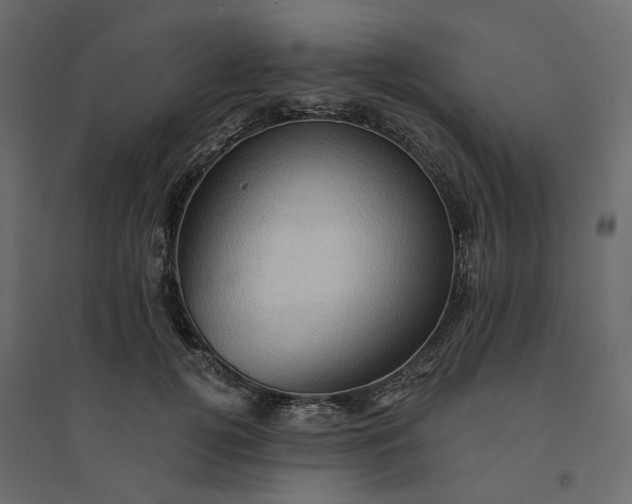 X0000094420752200711211410