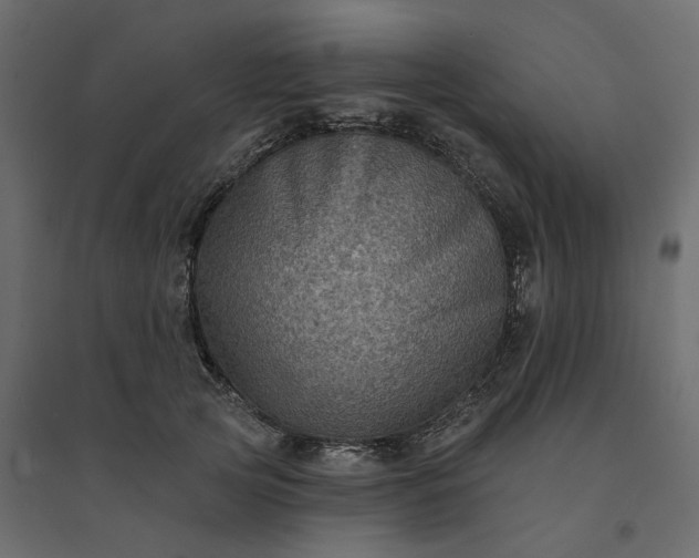 X0000094420753200711211410